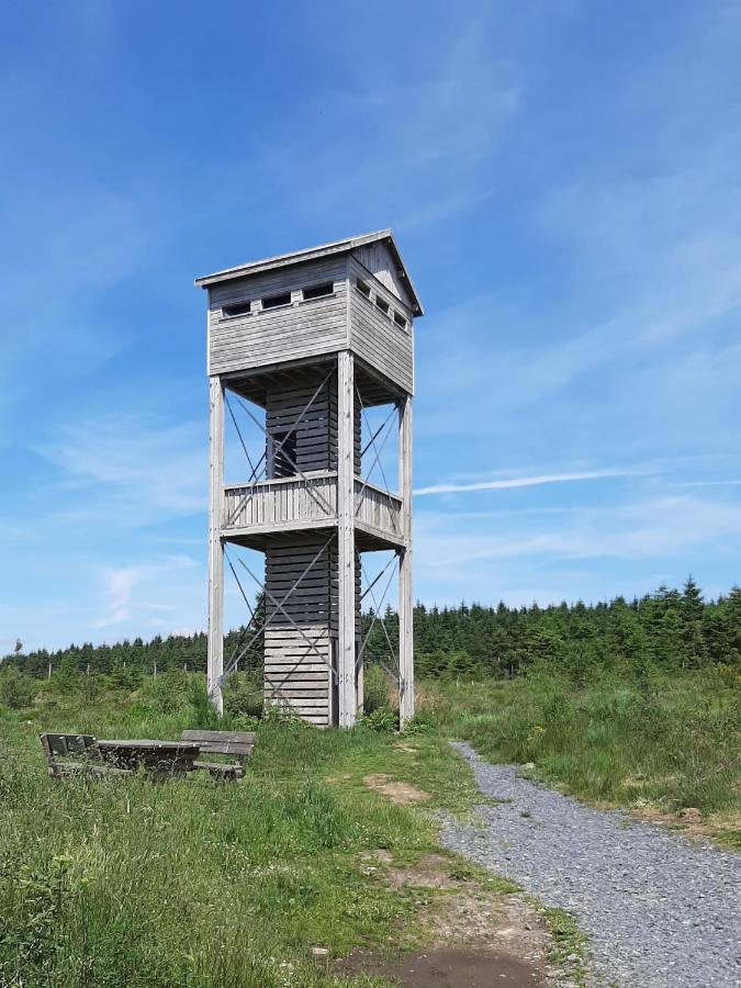 La Cabane De Tic Et Tac Hotel Tailles Eksteriør billede